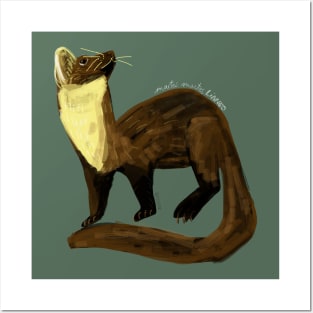 Fluffy Marten ( Martes martes) Posters and Art